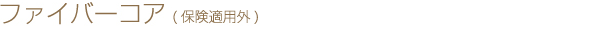 ファイバーコア(保険適用外)